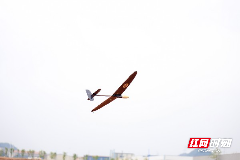 717A9221.jpg 717A9221.jpg