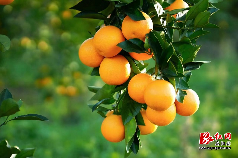 微信图片_20251027171958.jpg 微信图片_20251027171958.jpg