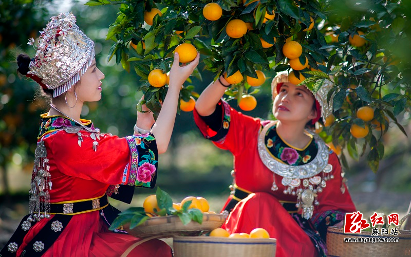 微信图片_20251027171952.jpg 微信图片_20251027171952.jpg