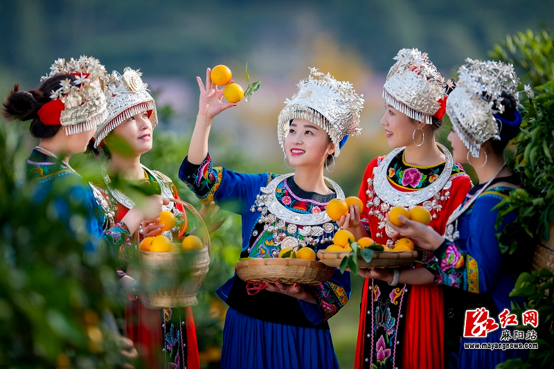 微信图片_20251027171956.jpg 微信图片_20251027171956.jpg