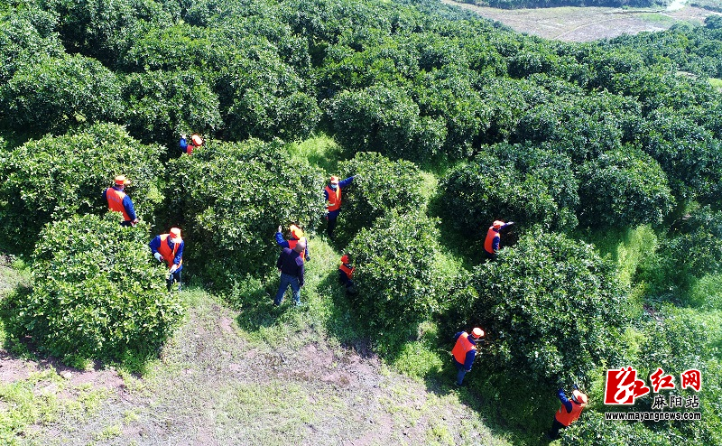 微信图片_20251028093536.jpg 微信图片_20251028093536.jpg