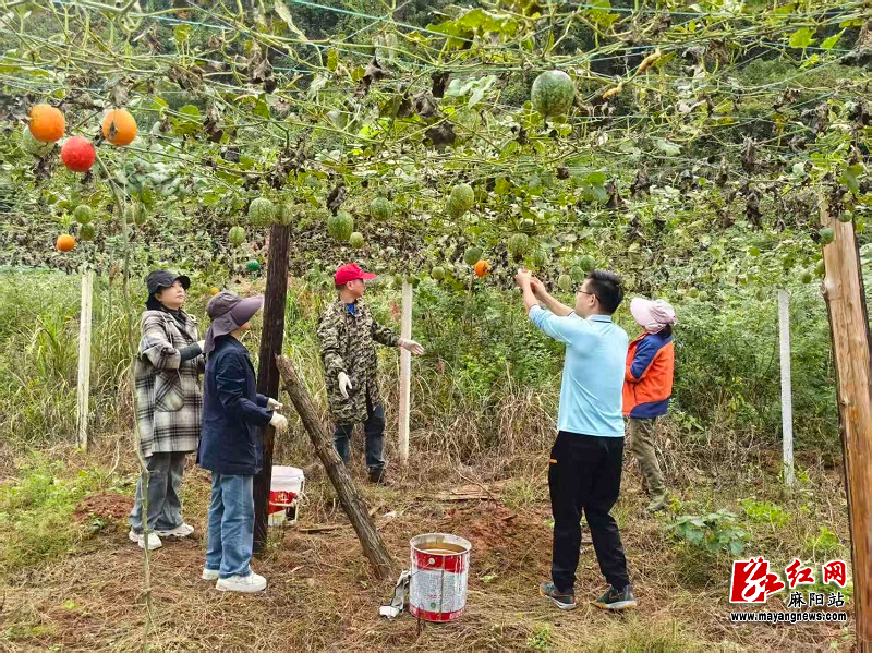 微信图片_20251028105506.jpg 微信图片_20251028105506.jpg