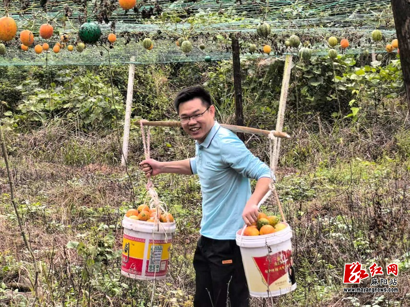 微信图片_20251028105520.jpg 微信图片_20251028105520.jpg