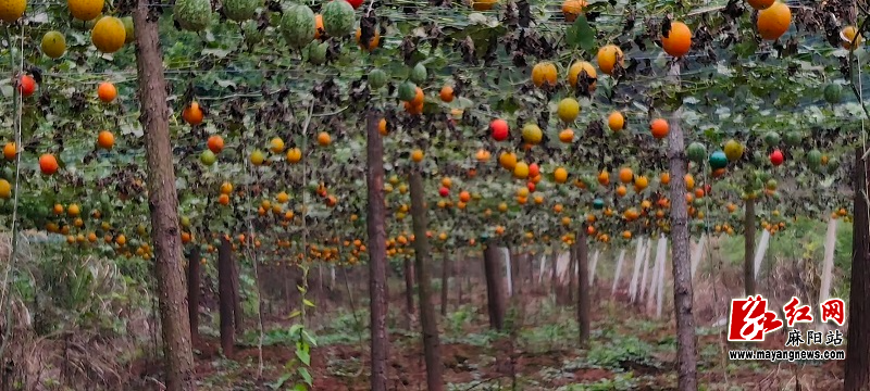 微信图片_20251028105542.jpg 微信图片_20251028105542.jpg