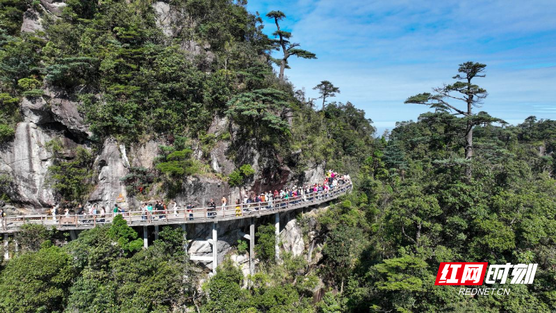 图片7.png 图片7.png