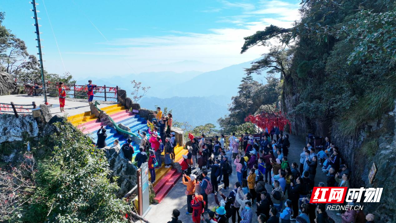 图片4.png 图片4.png