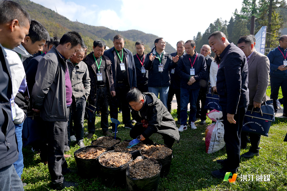 微信图片_20251028171717.jpg 微信图片_20251028171717.jpg