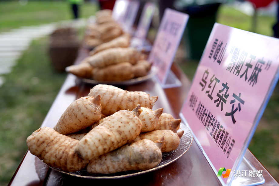 微信图片_20251028171714.jpg 微信图片_20251028171714.jpg