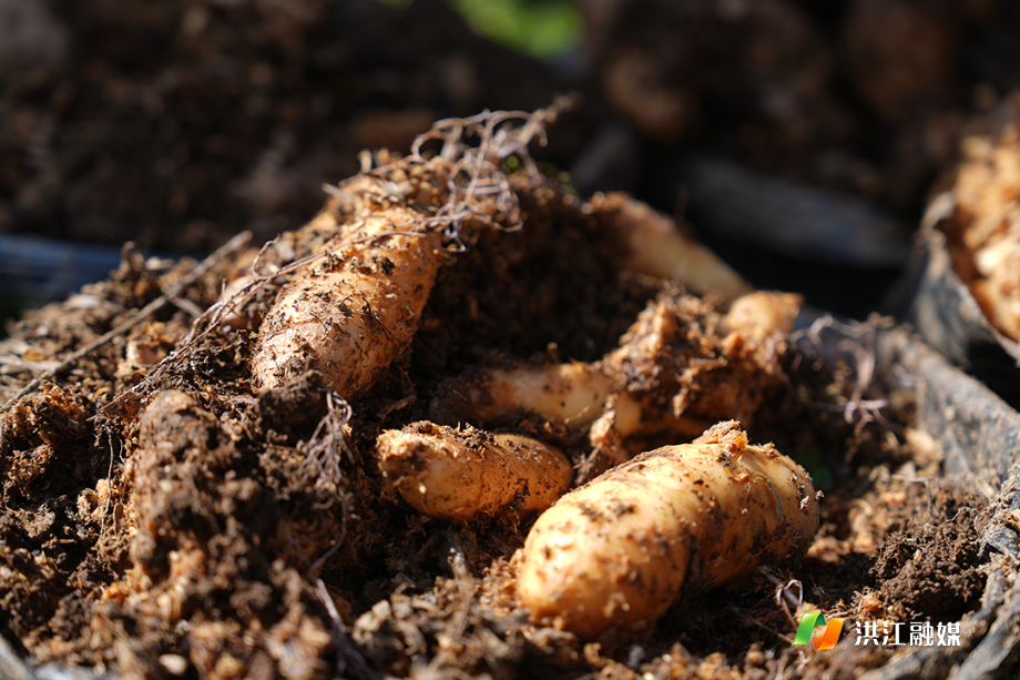 微信图片_20251028171723.jpg 微信图片_20251028171723.jpg