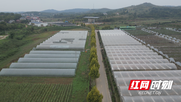 辣椒-1.bmp 辣椒-1.bmp