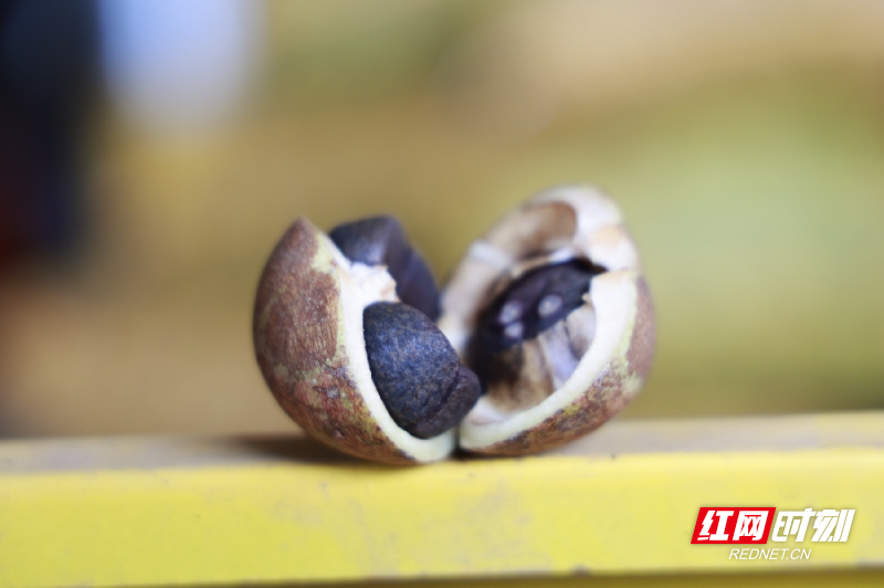 _R2A9115_副本.jpg _R2A9115_副本.jpg