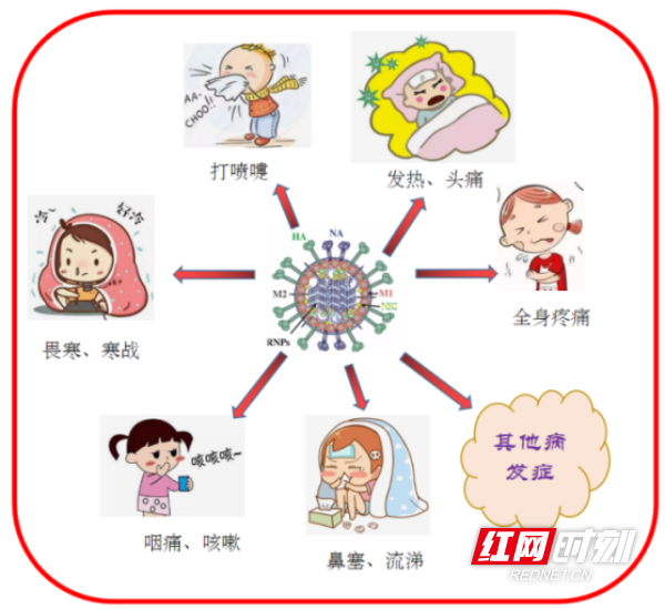 图片5.png 图片5.png