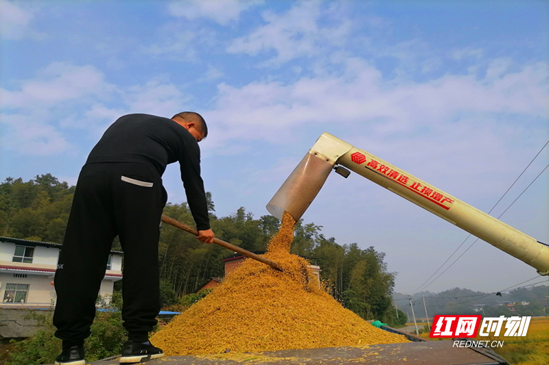 微信图片_20251029165145.jpg 微信图片_20251029165145.jpg