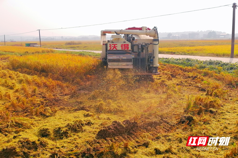 微信图片_20251029165135.jpg 微信图片_20251029165135.jpg