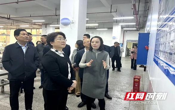 邵阳市人大常委会开展安全生产“三法一条例两办法”执法检查反馈问题跟踪监督调研