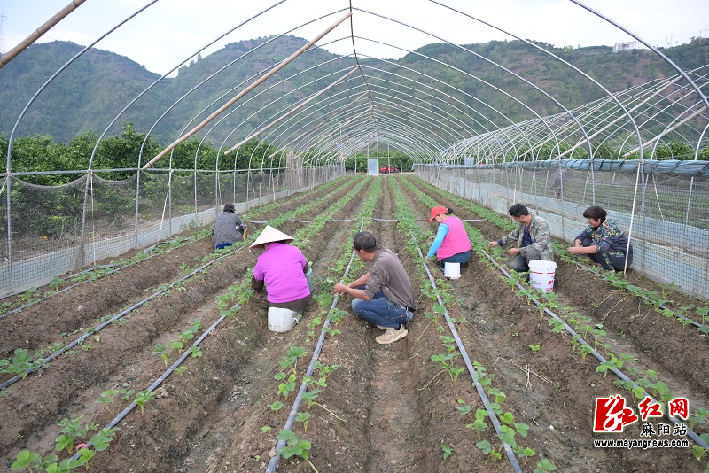 微信图片_20251030101554.jpg 微信图片_20251030101554.jpg