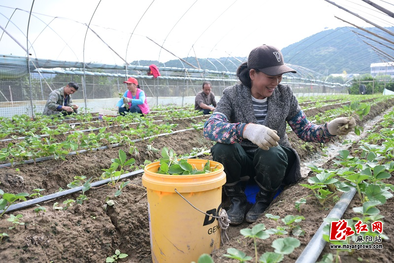 微信图片_20251030101548.jpg 微信图片_20251030101548.jpg