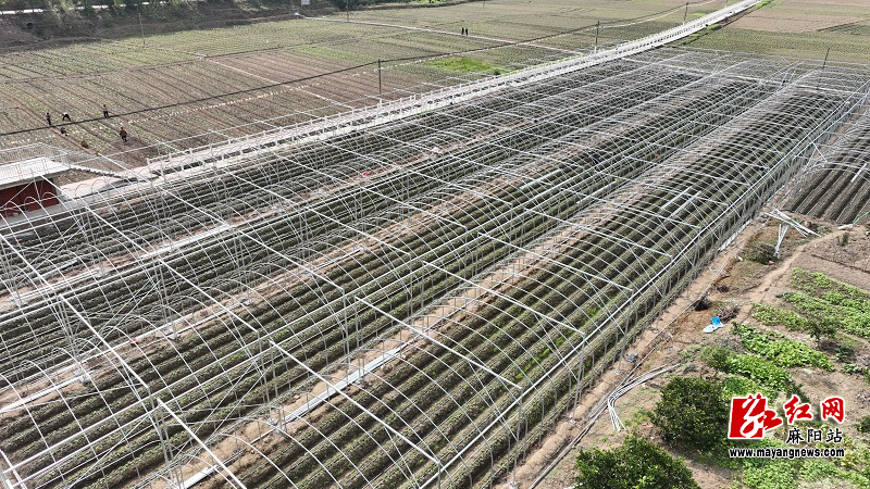 微信图片_20251030101551.jpg 微信图片_20251030101551.jpg