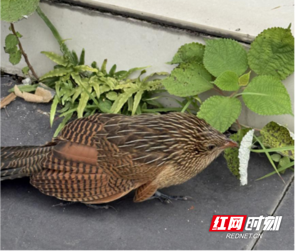 图片16.png 图片16.png