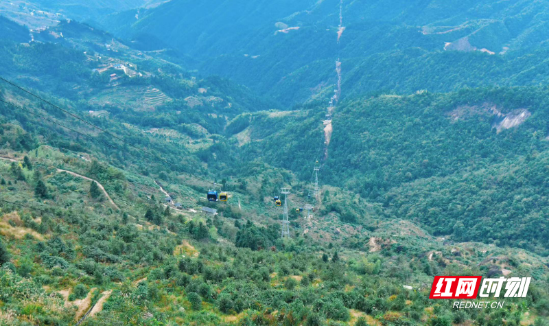 微信图片_20251030201006_338_364.jpg 微信图片_20251030201006_338_364.jpg