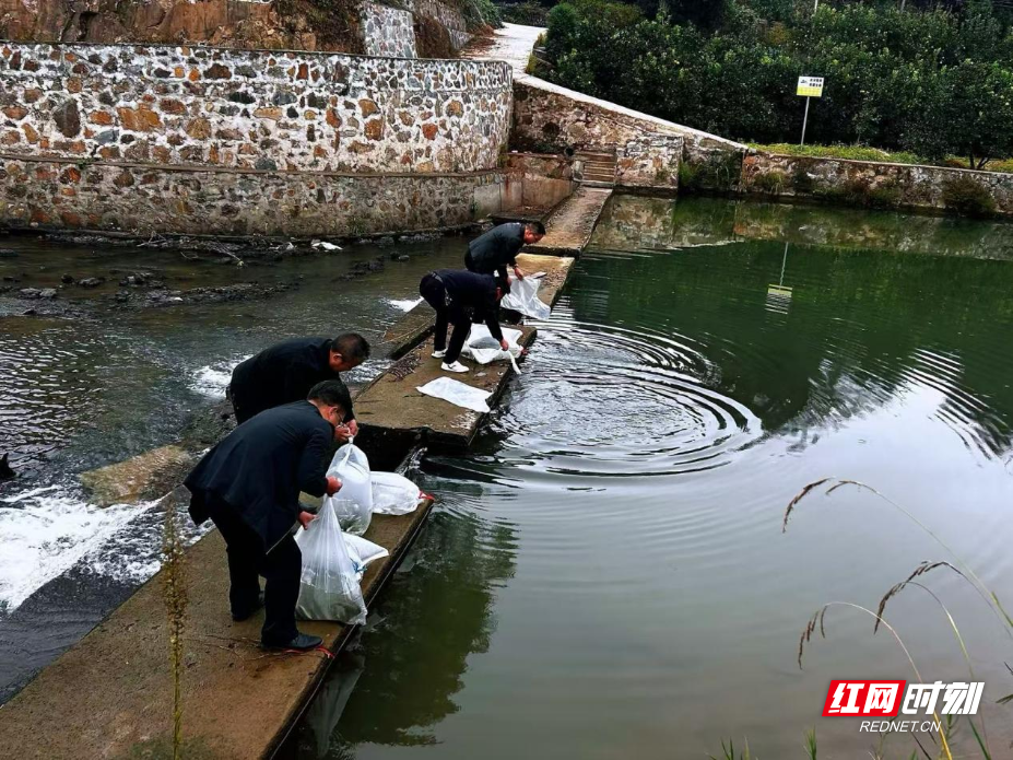 图片2.png 图片2.png