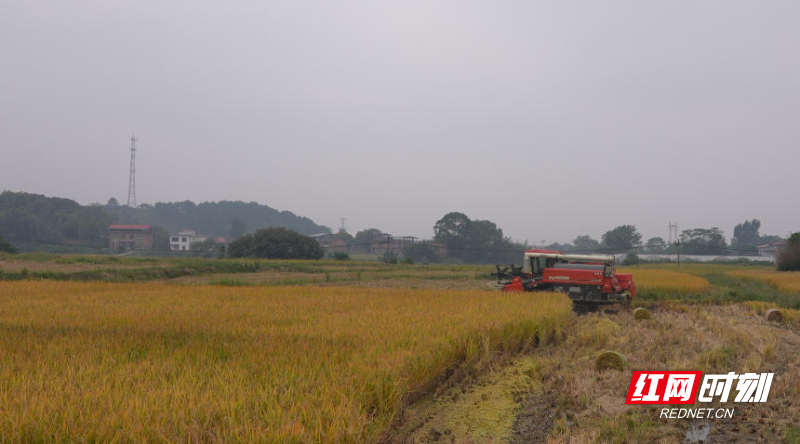 ScreenShot_2025-10-31_095806_631.jpg ScreenShot_2025-10-31_095806_631.jpg