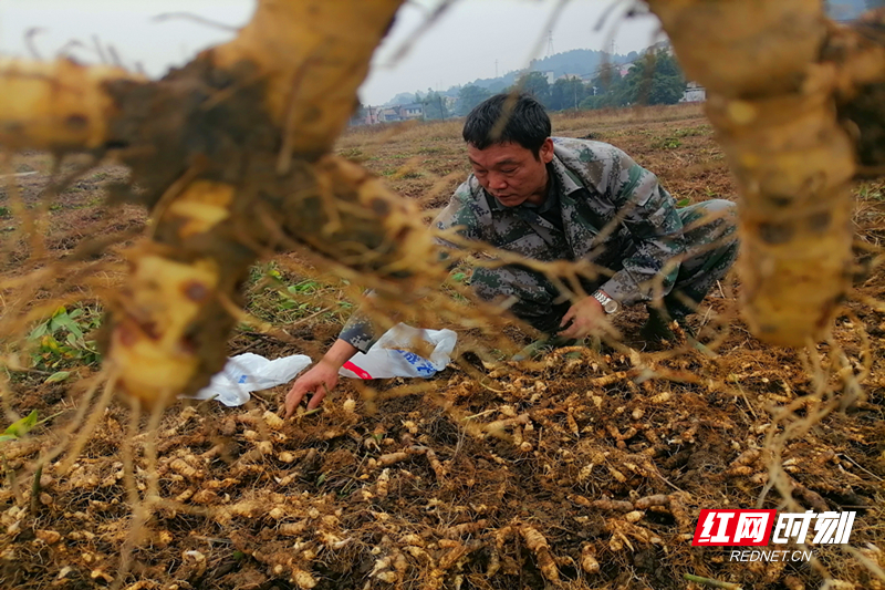 微信图片_20251031111534.jpg 微信图片_20251031111534.jpg