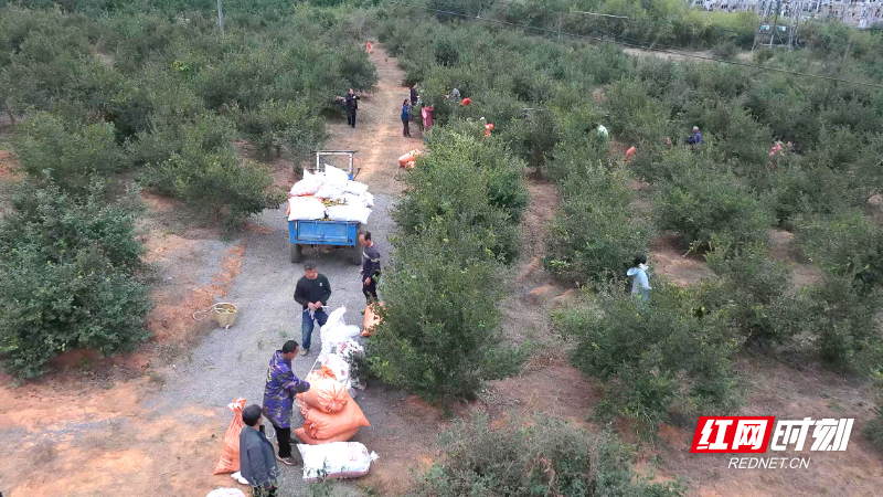 538dbdbf3db998f3afbbc74faff88461_副本.jpg 538dbdbf3db998f3afbbc74faff88461_副本.jpg