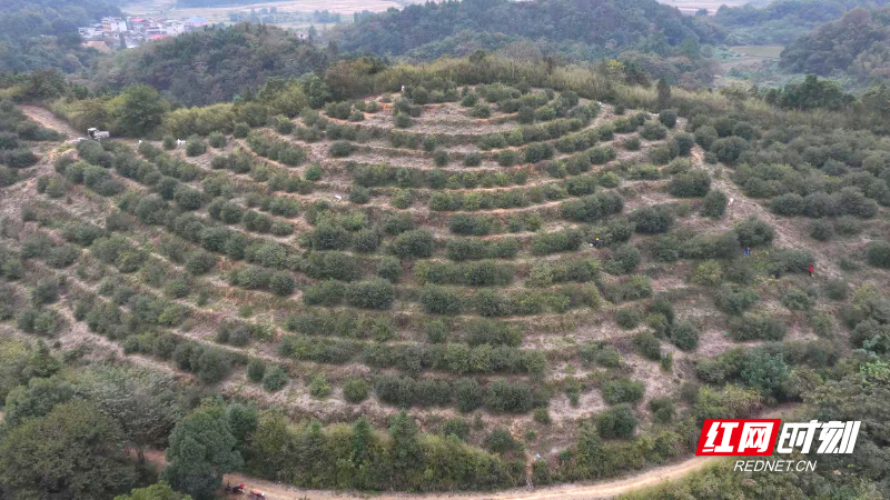 b18a291d7ae1724328990c5cc577b818_副本.jpg b18a291d7ae1724328990c5cc577b818_副本.jpg