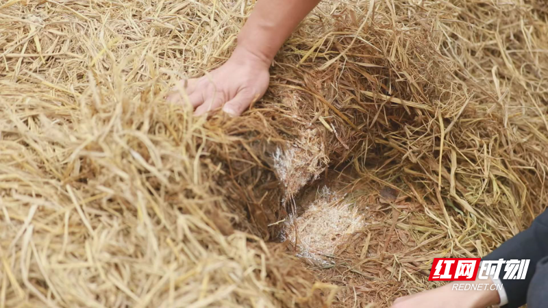 24b348d37c11e88cd834fc1a8c643e60.jpg 24b348d37c11e88cd834fc1a8c643e60.jpg