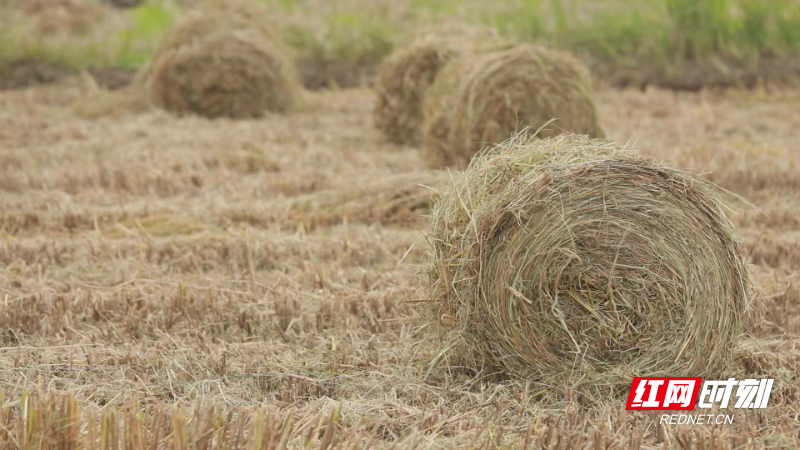 6420224f02fb69517d9de12e87b46bdc.jpg 6420224f02fb69517d9de12e87b46bdc.jpg