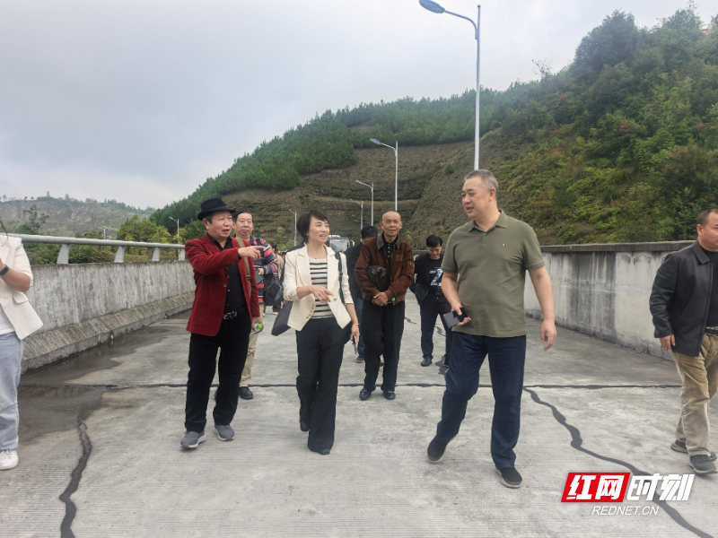 image003.jpg image003.jpg