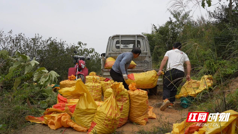 image001.jpg image001.jpg