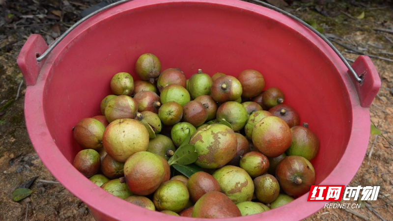 image007.jpg image007.jpg