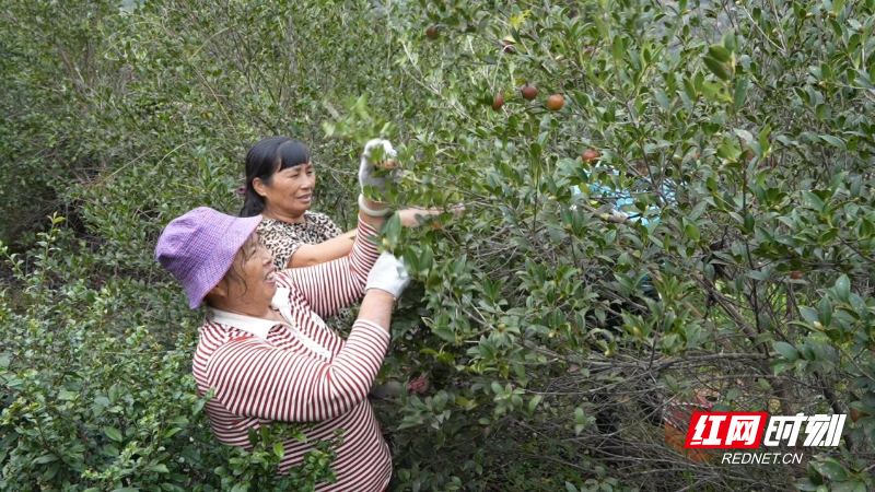 image005.jpg image005.jpg