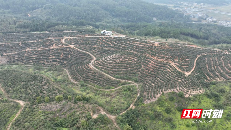 image015.jpg image015.jpg