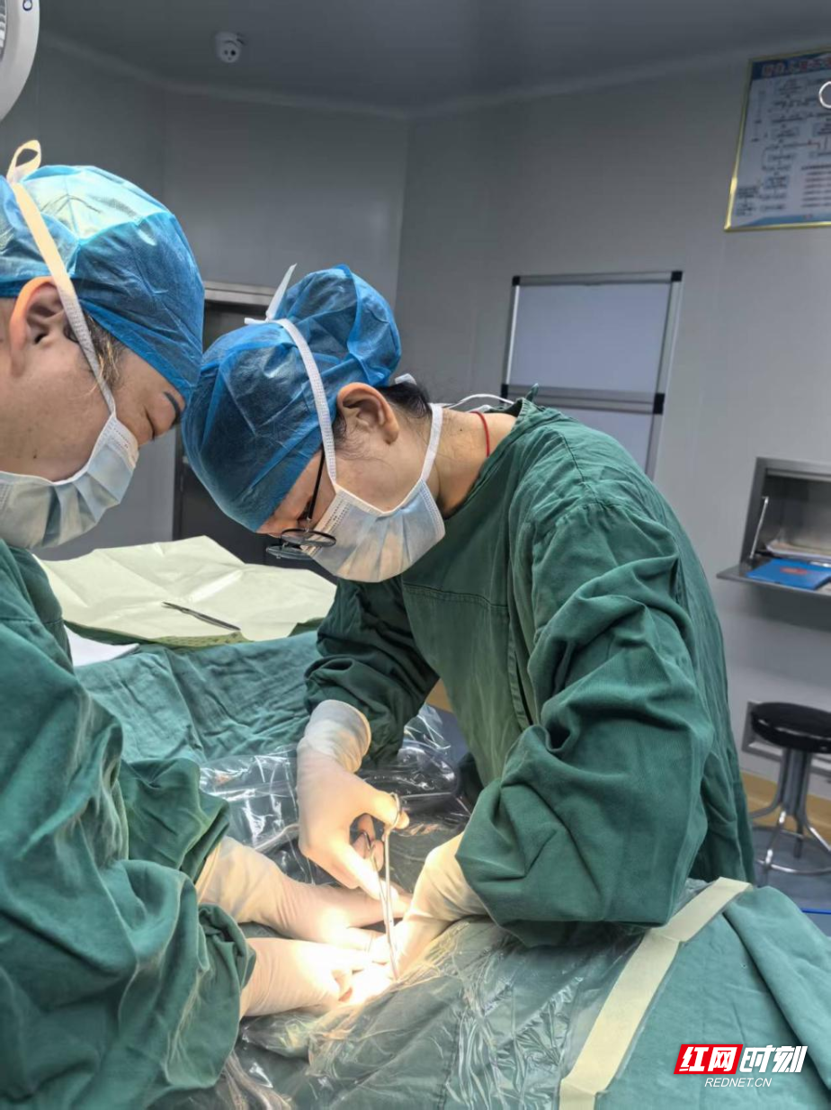 图片54.png 图片54.png