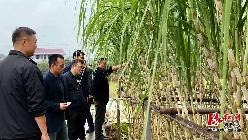 微信图片_20251104100214.jpg 微信图片_20251104100214.jpg