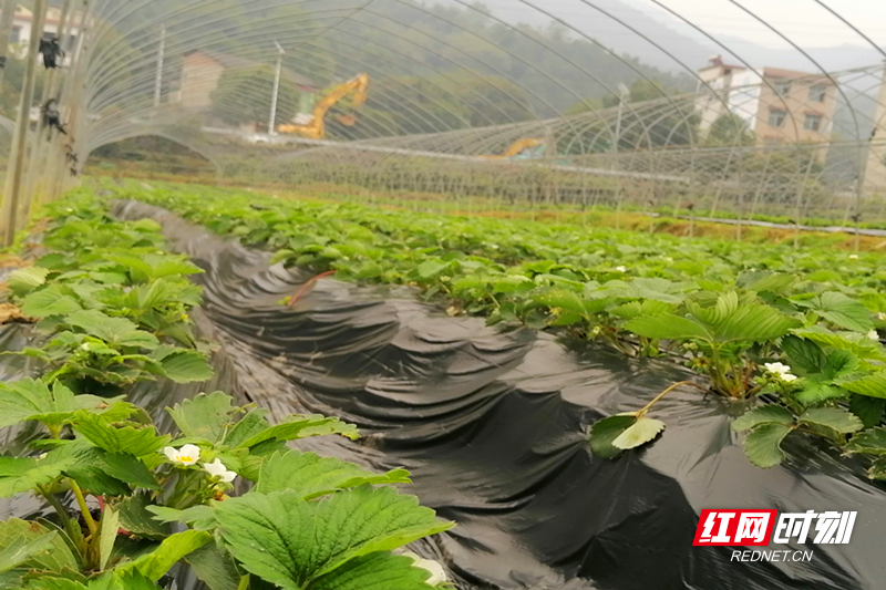 微信图片_20251104093726.jpg 微信图片_20251104093726.jpg