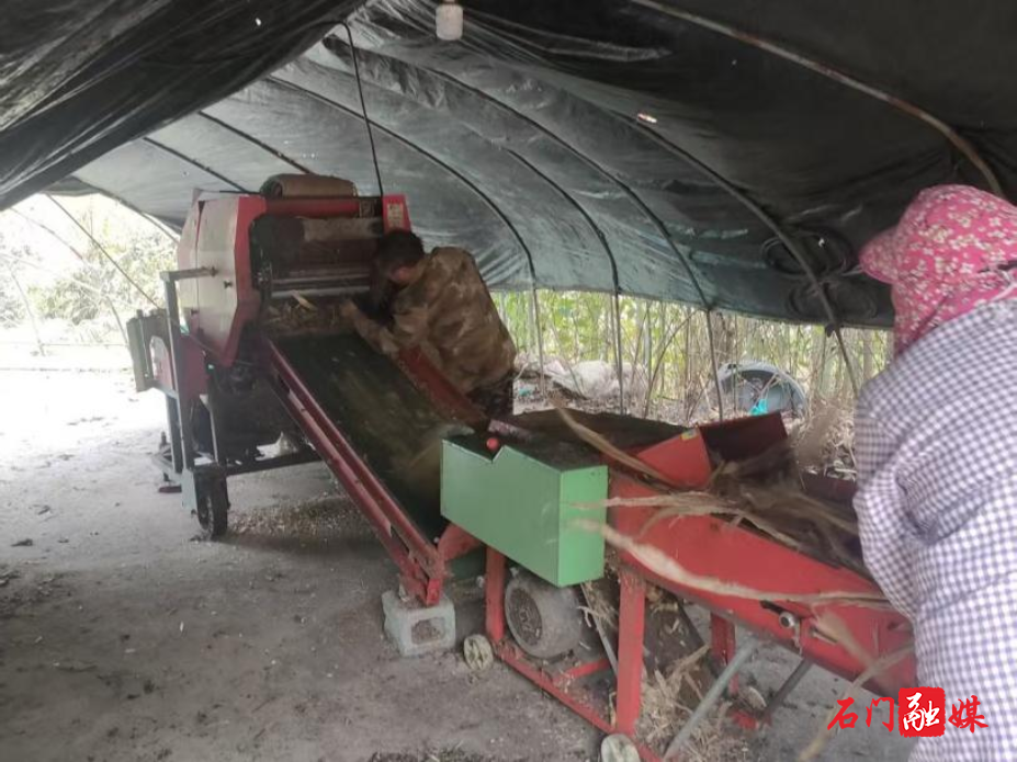 图片4.png 图片4.png