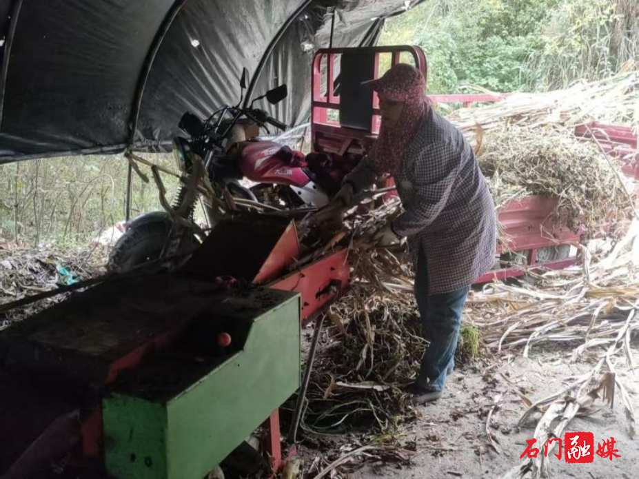 图片3.png 图片3.png