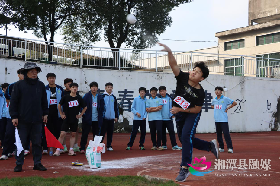 图片2.png 图片2.png