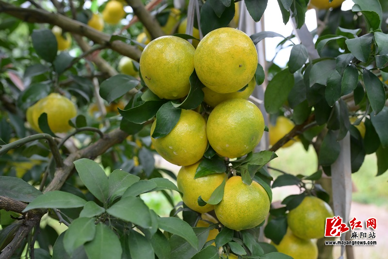 微信图片_20251105151030.jpg 微信图片_20251105151030.jpg