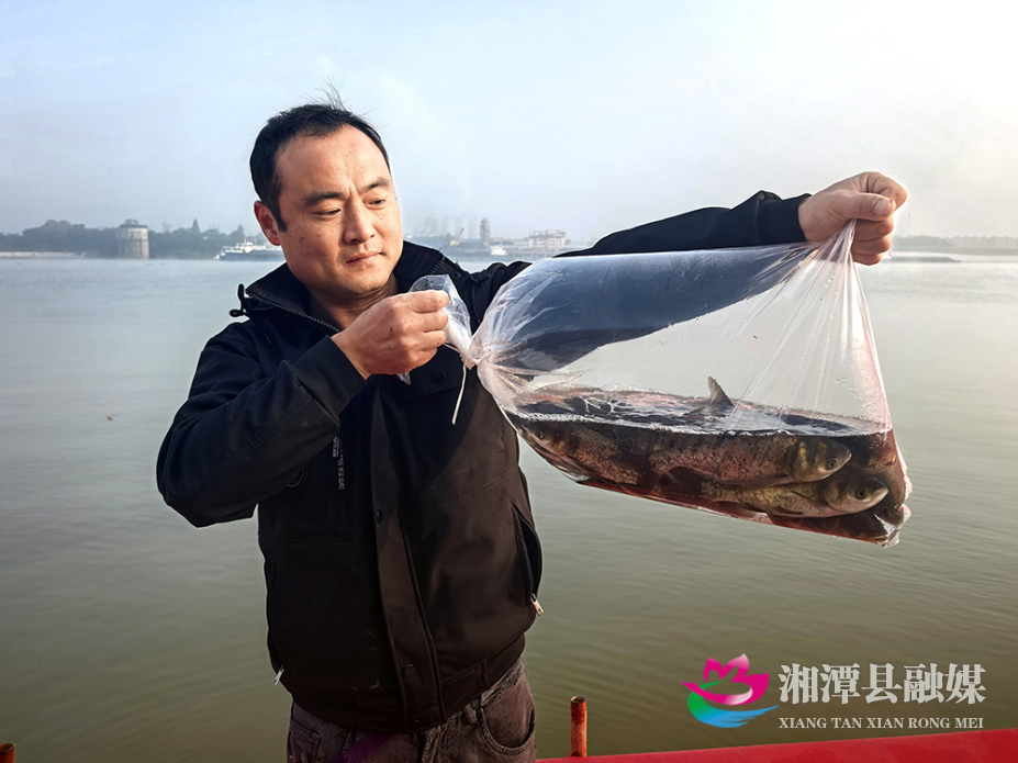 图片3.png 图片3.png