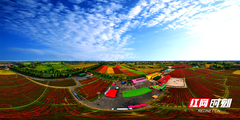 70、城头山花海 贺家斌_副本.jpg