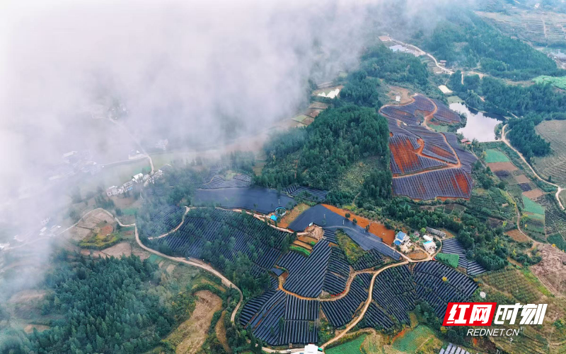 微信图片_20251106114806_358_364.jpg 微信图片_20251106114806_358_364.jpg