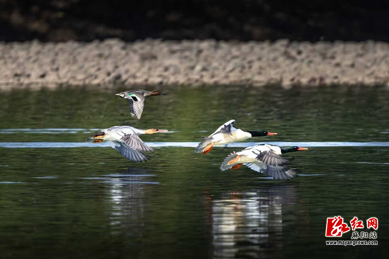 微信图片_20251106153241.jpg 微信图片_20251106153241.jpg