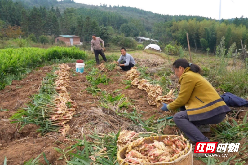 图片4.png 图片4.png