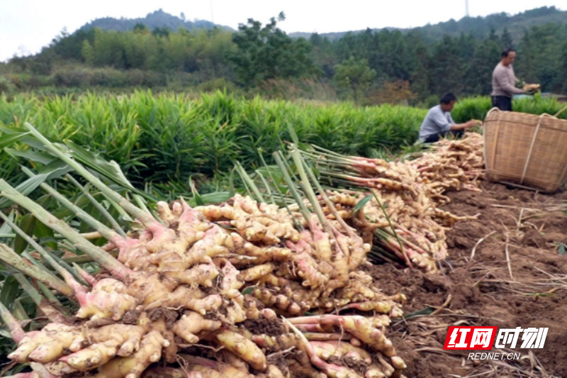 图片6.png 图片6.png