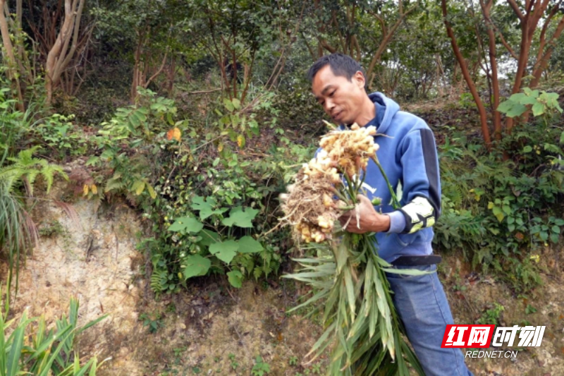 图片7.png 图片7.png